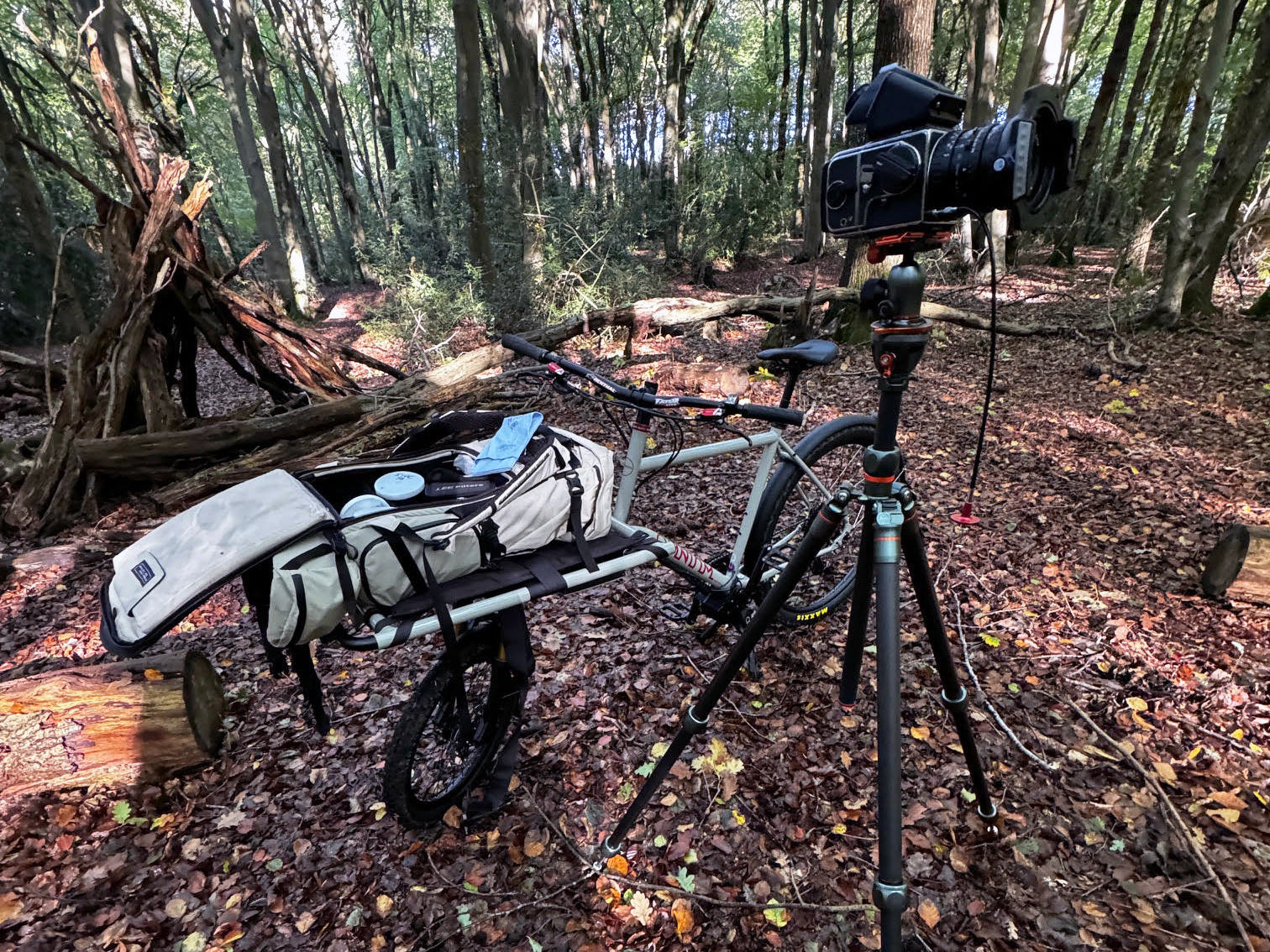 The Photographers Mountain Mule