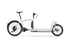 Larry vs Harry eBullitt